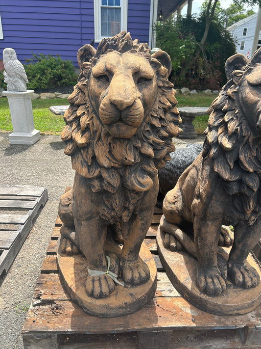 Estate Lion