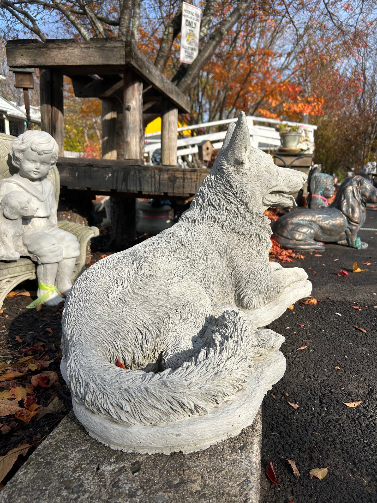 Large Laying German Shepard