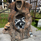 Raccoon Stump