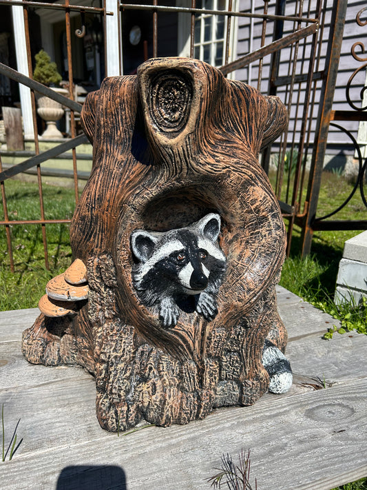 Raccoon Stump