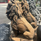 Estate Lion