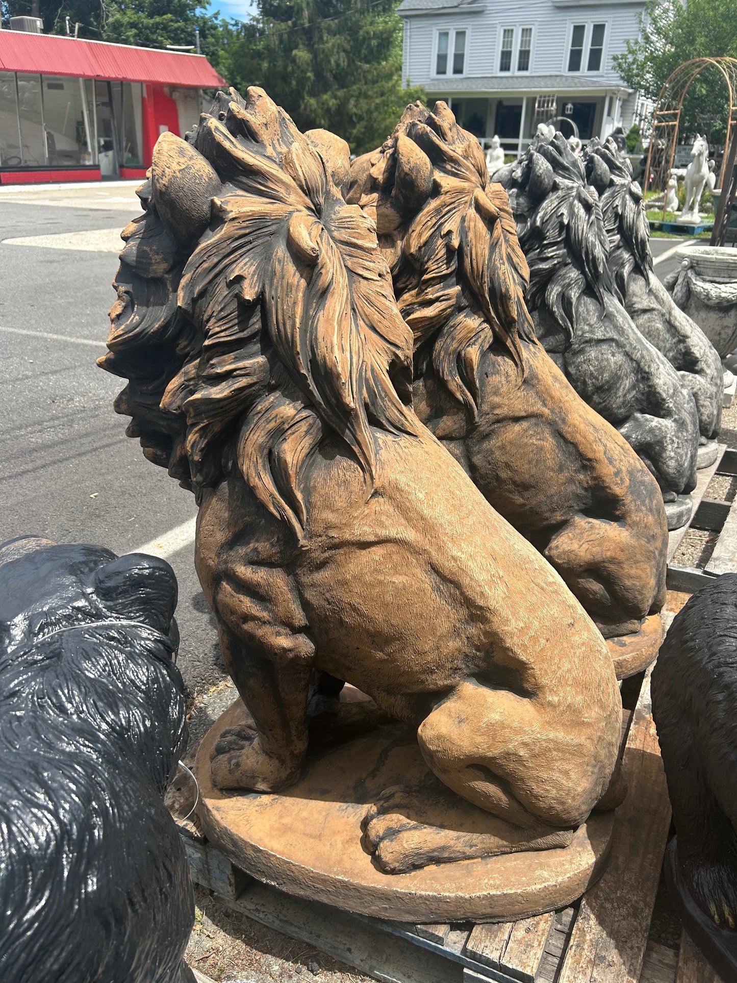 Estate Lion
