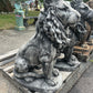 Estate Lion
