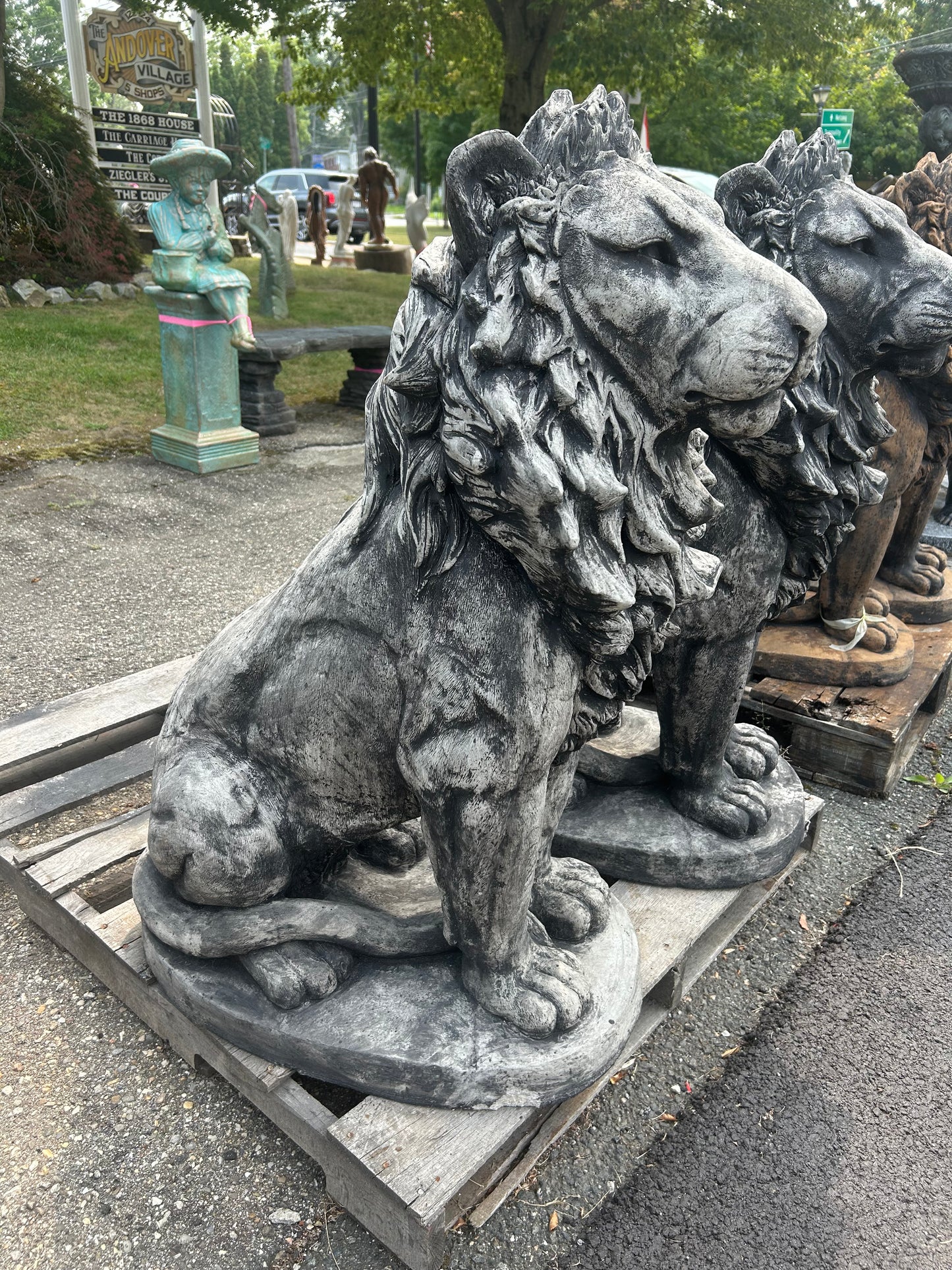 Estate Lion