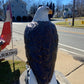 X-Large Eagle Wings Down