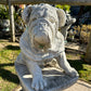 Large Sitting Bulldog