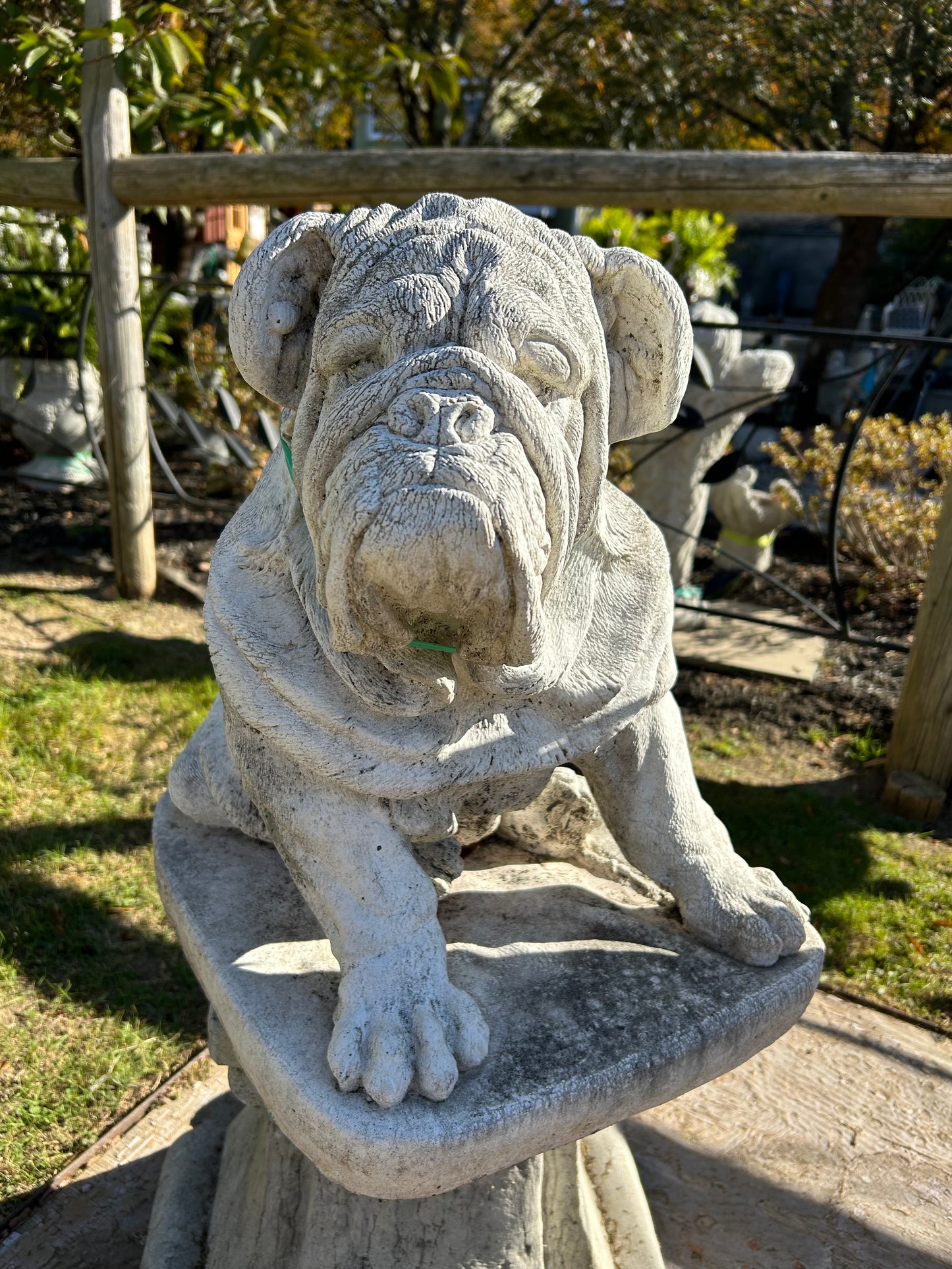 Large Sitting Bulldog