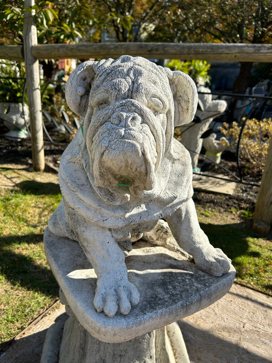 Large Sitting Bulldog