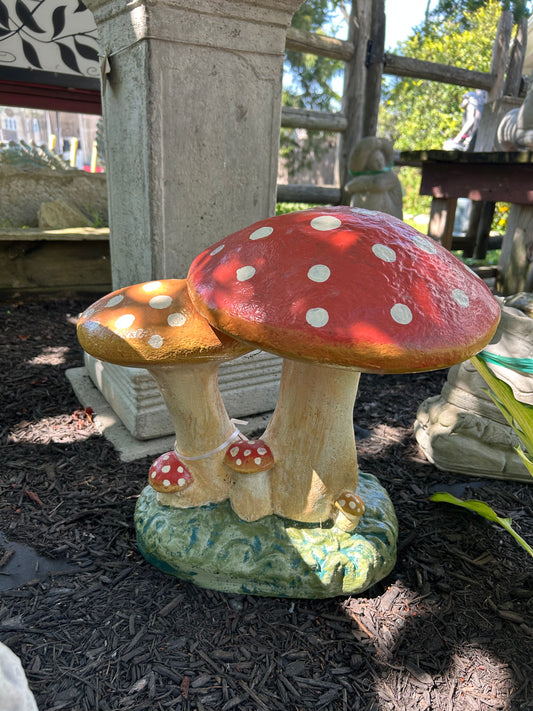 Double Mushroom Family