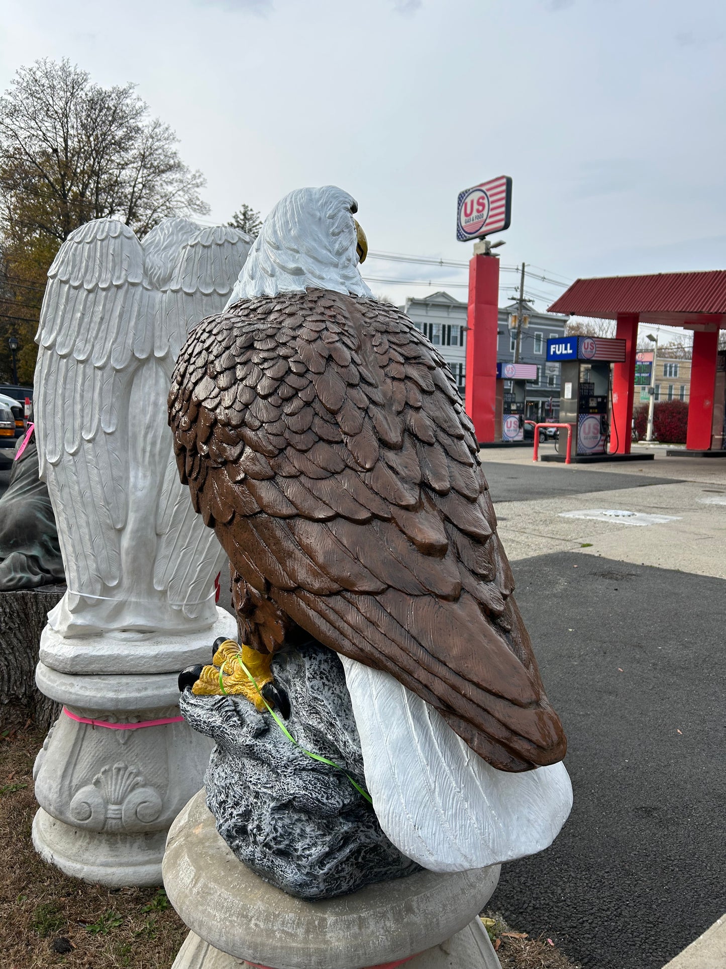 X-Large Eagle Wings Down