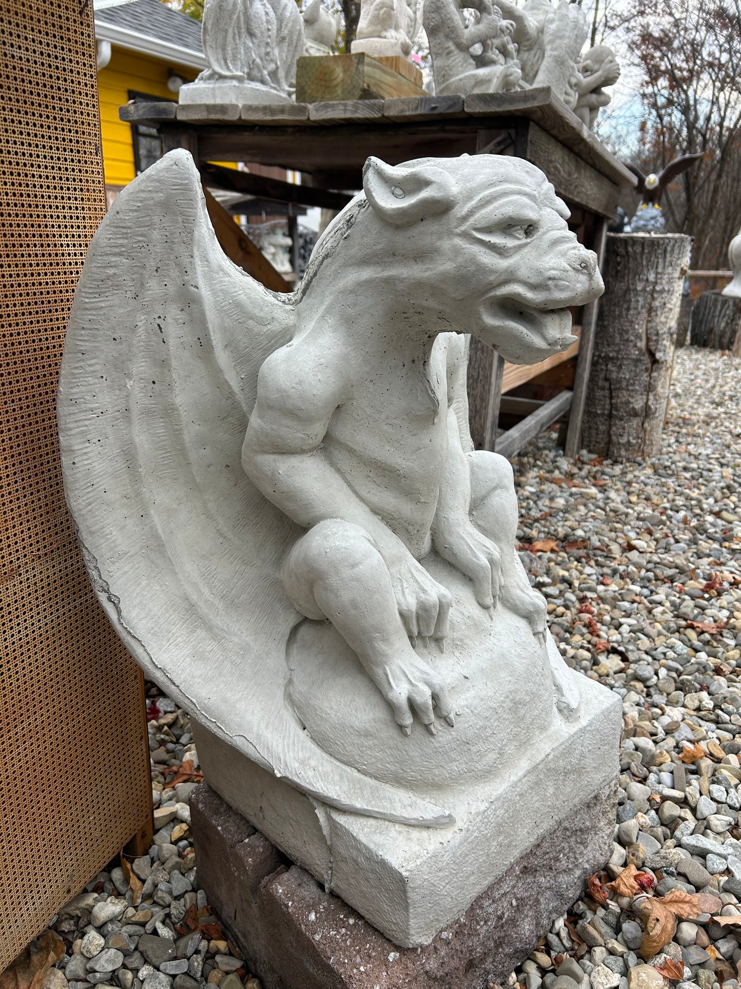 Smooth Winged Gargoyle