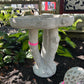 Birch Tree Birdbath