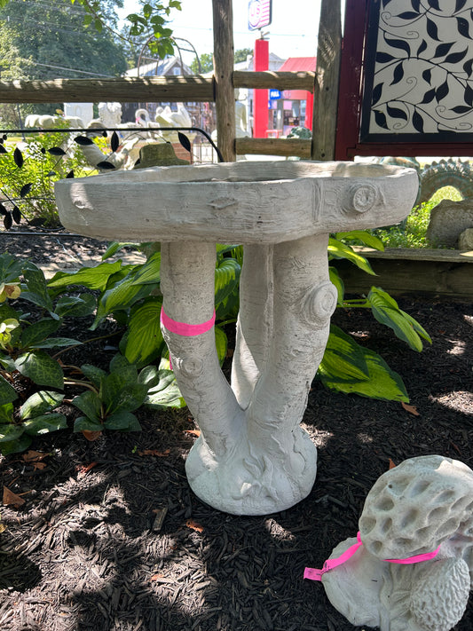 Birch Tree Birdbath