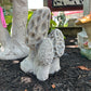 Morel Mushroom Concrete Statue