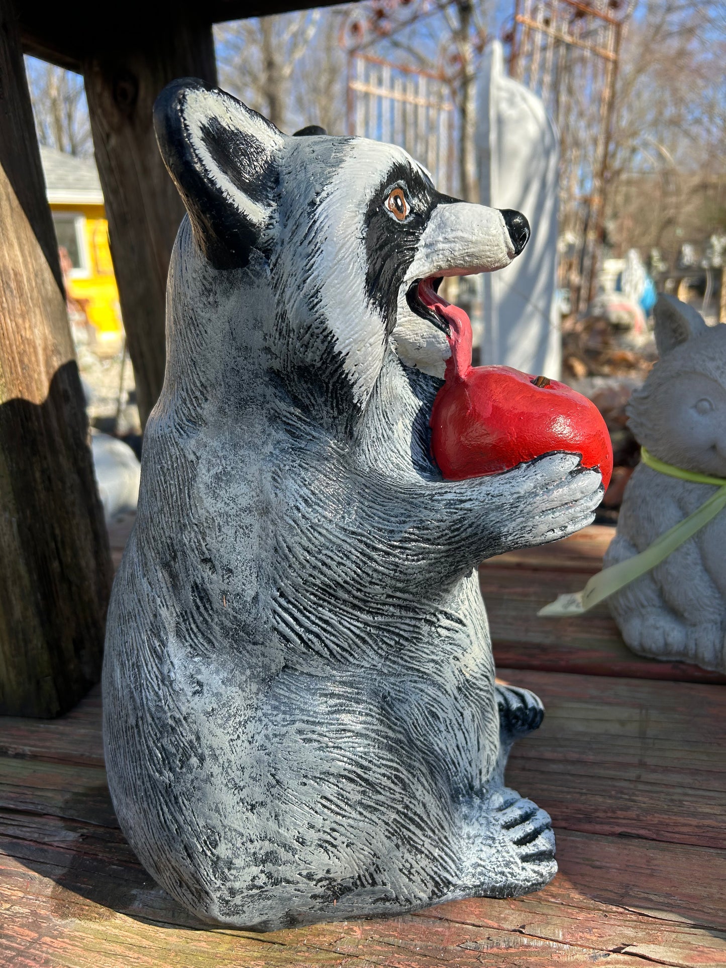 Raccoon with Apple