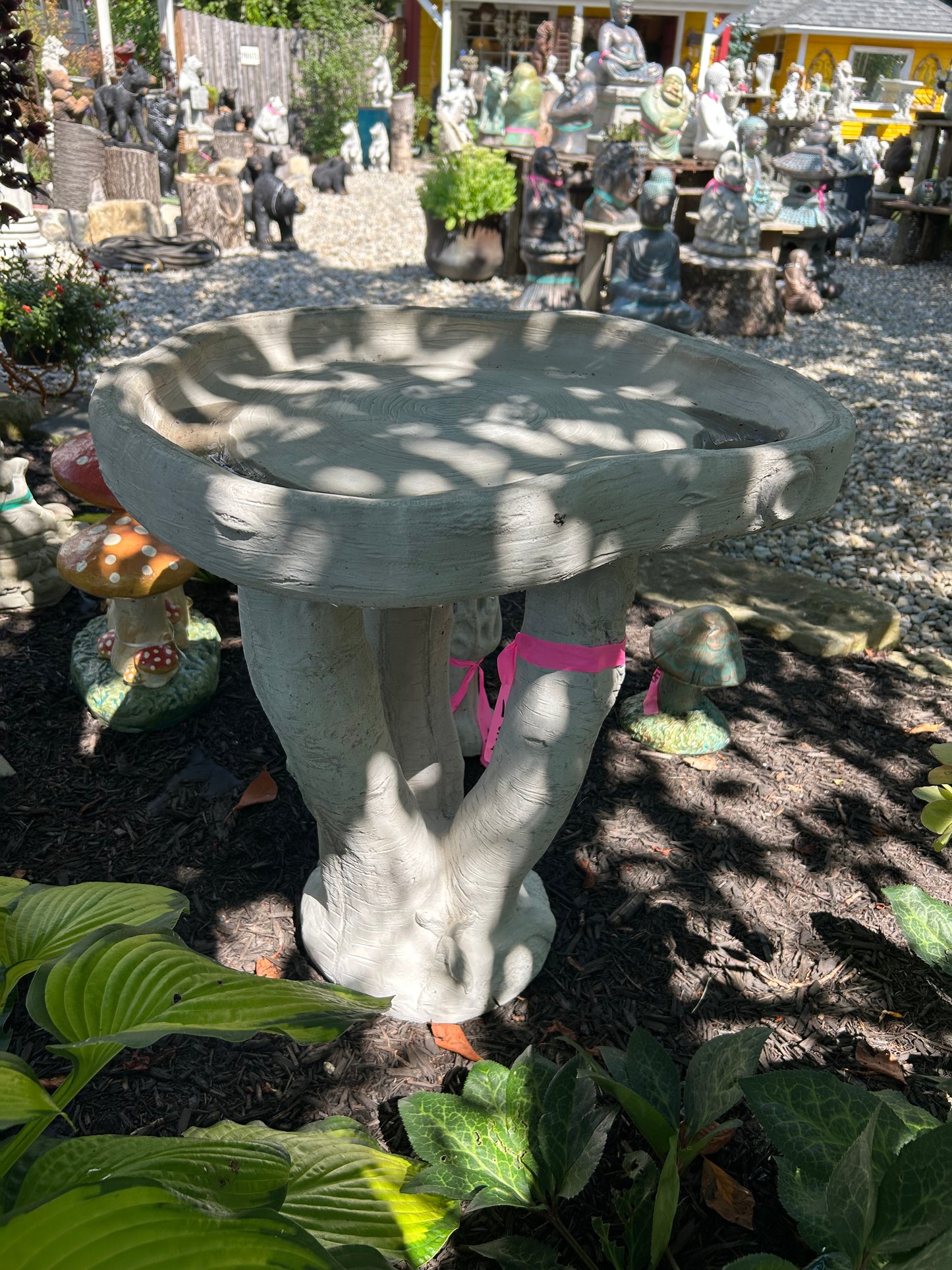 Birch Tree Birdbath