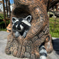 Raccoon Stump
