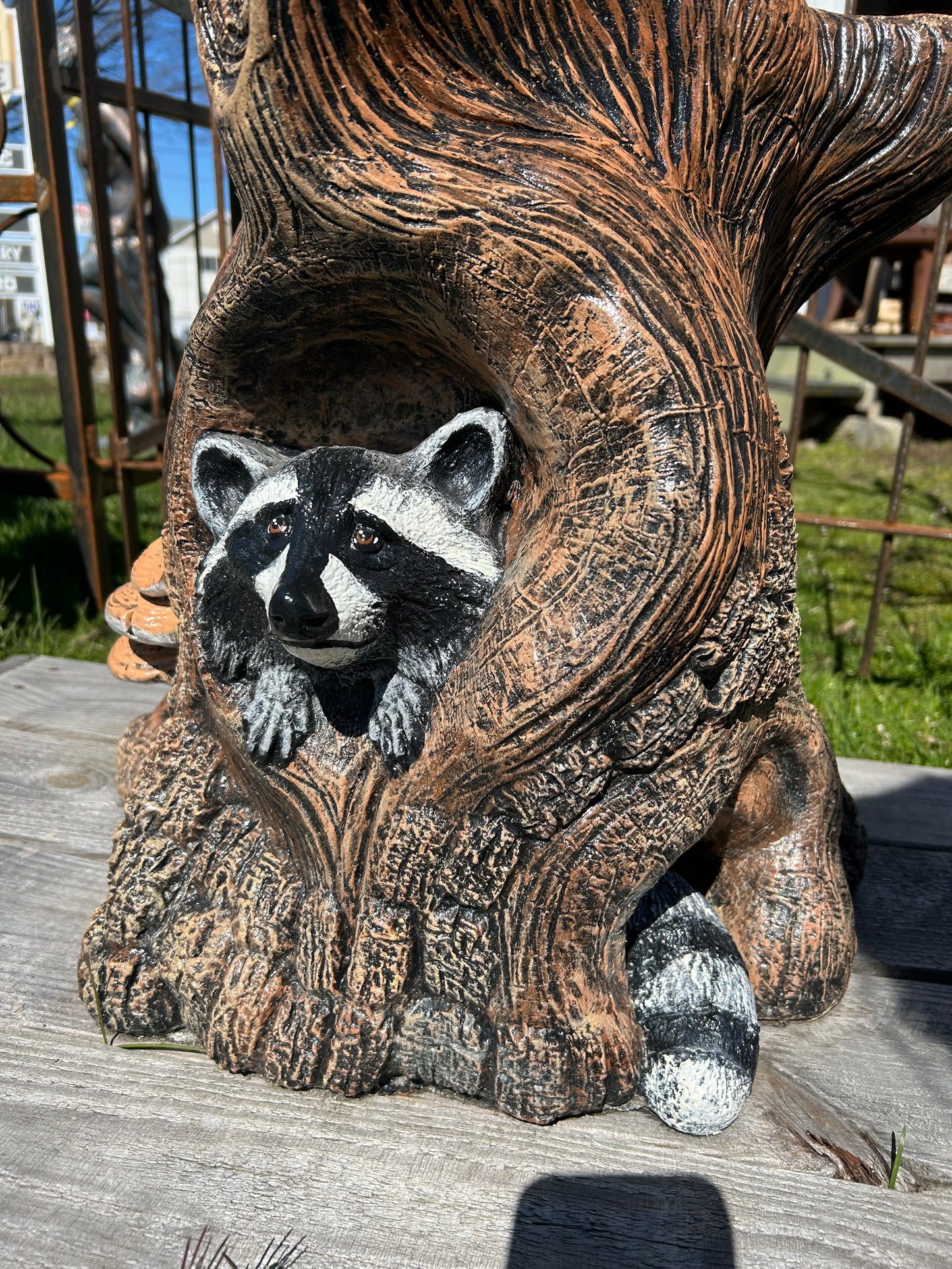 Raccoon Stump