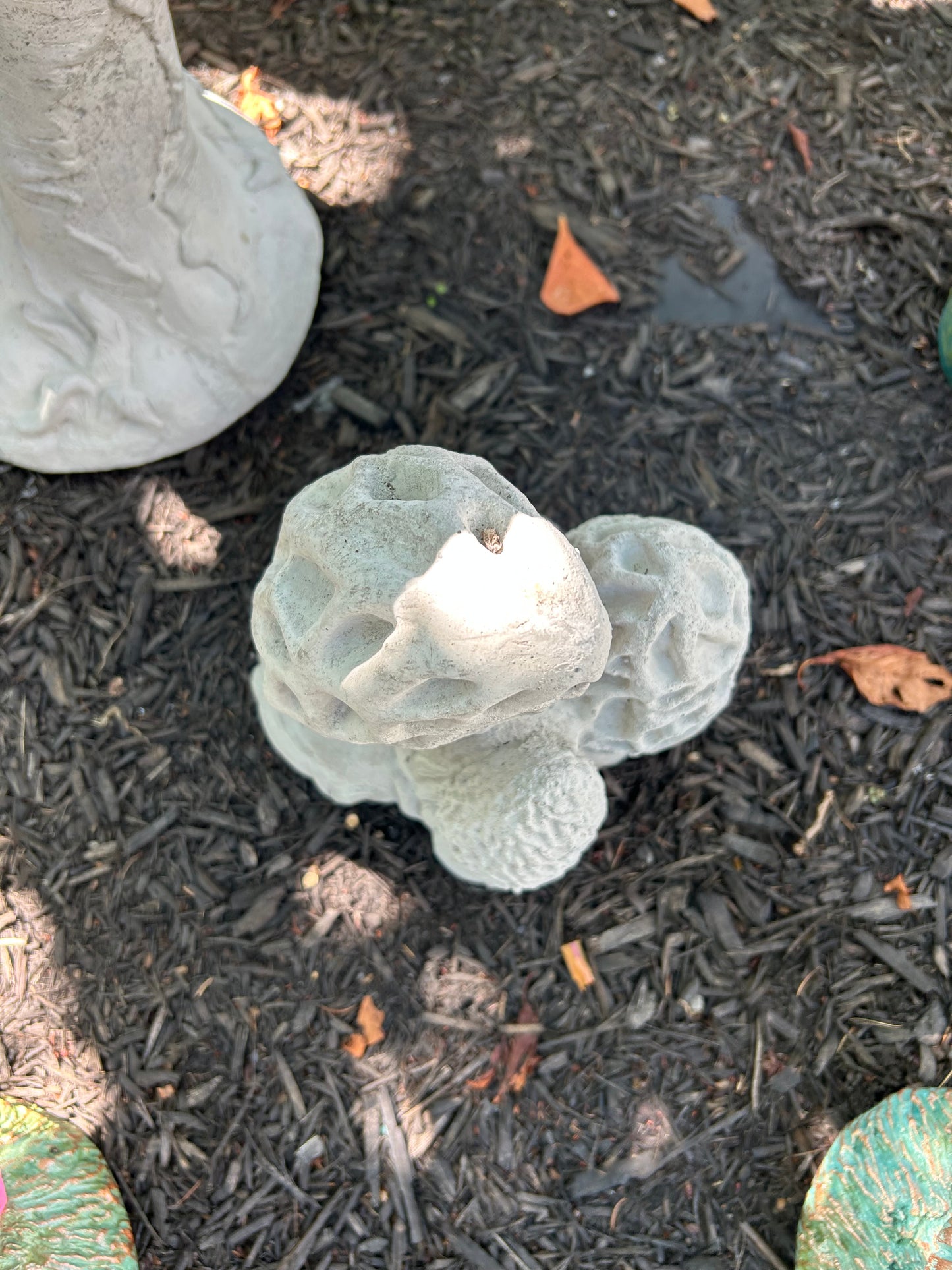 Morel Mushroom Concrete Statue