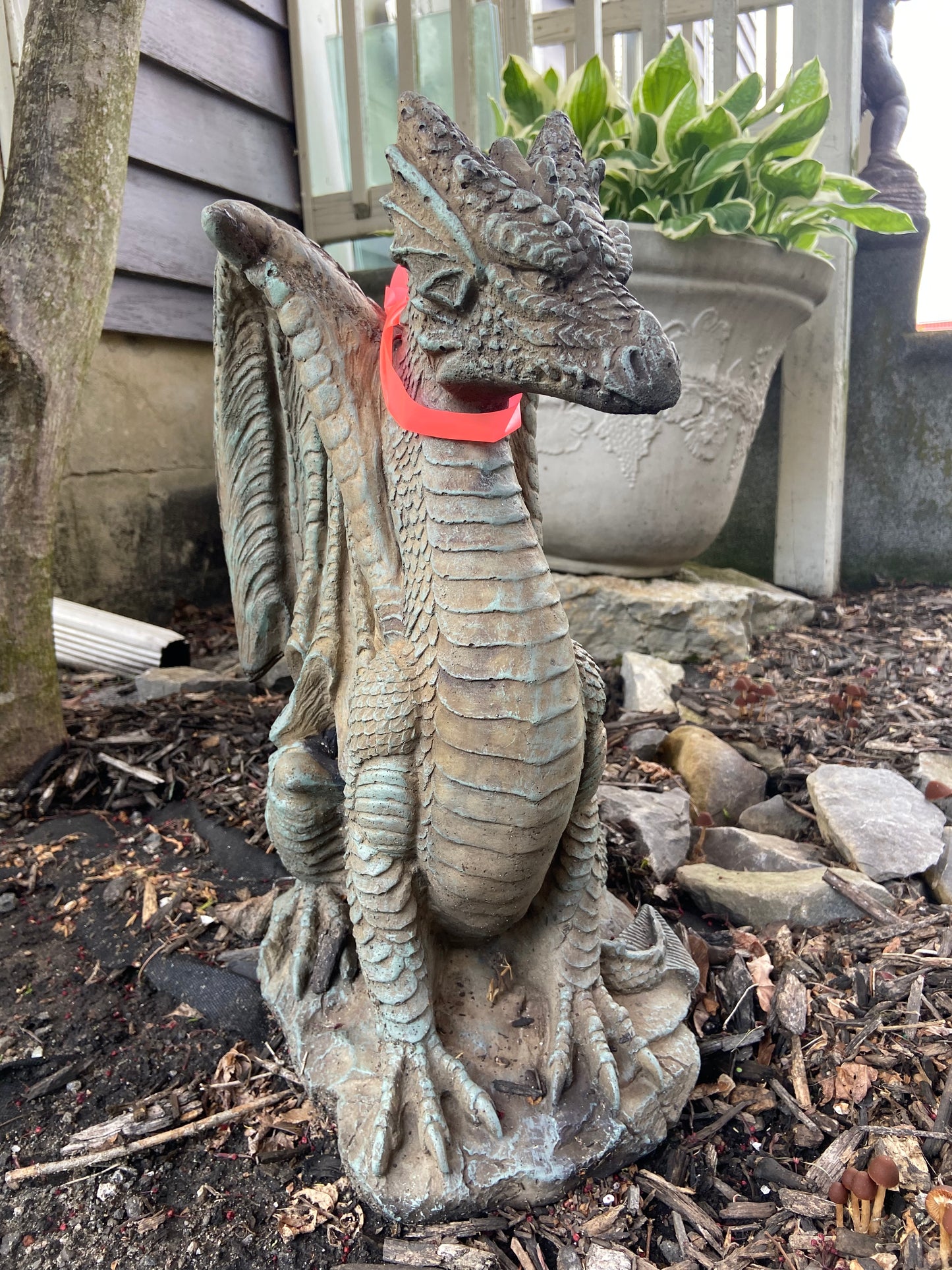 Sitting Dragon
