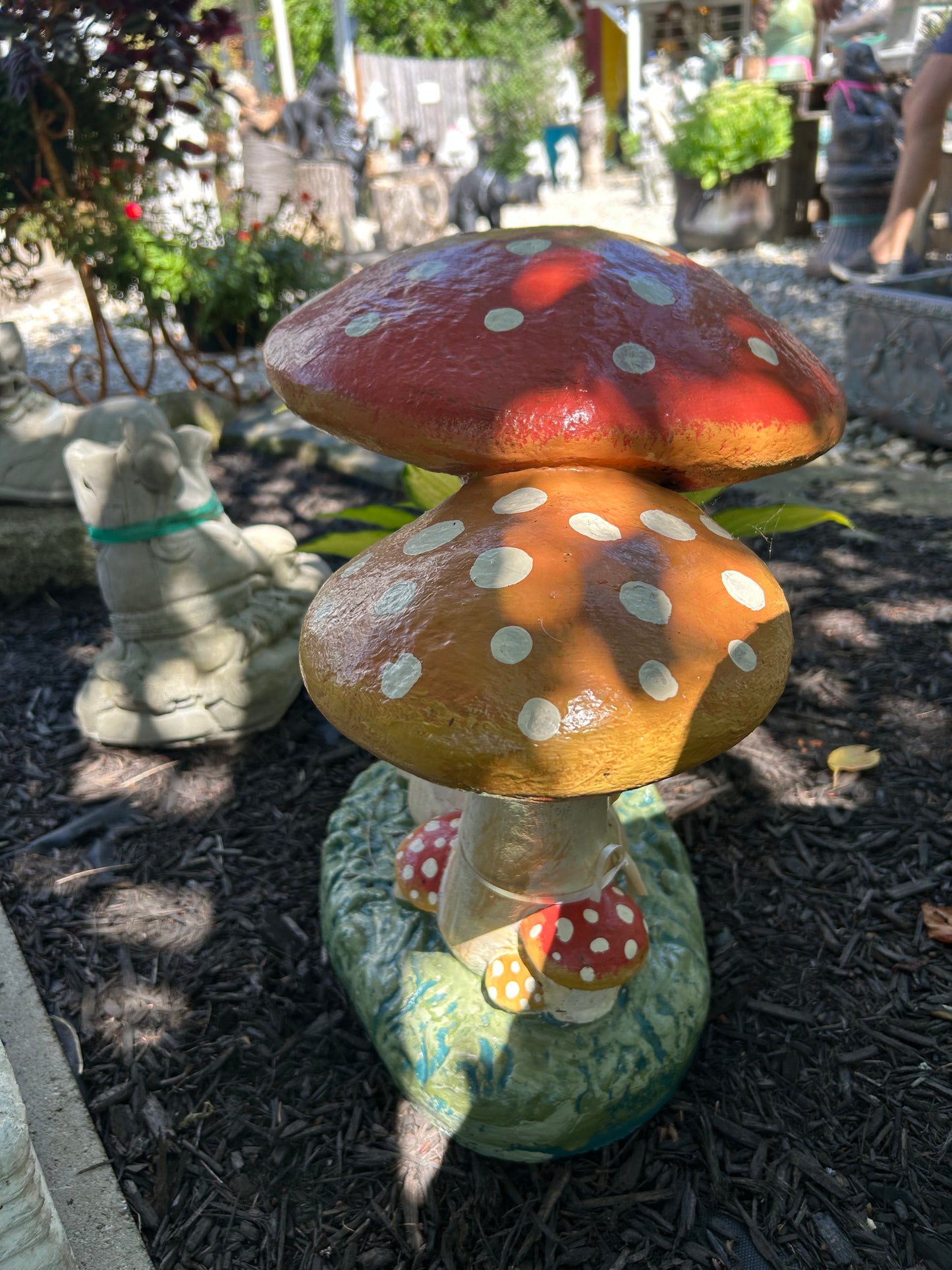 Double Mushroom Family