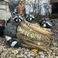 The 3 Raccoon’s Welcome Statue