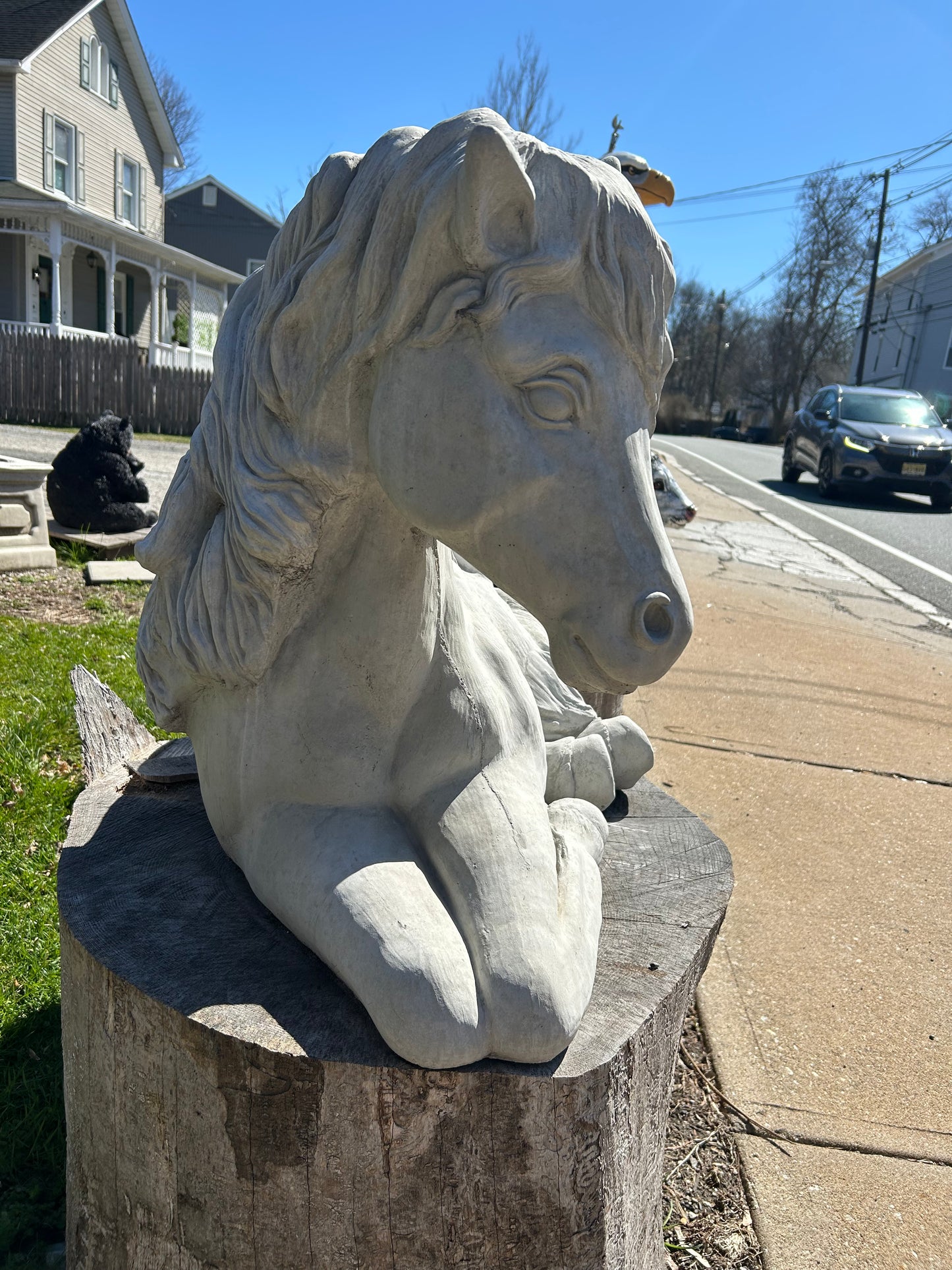 Large Laying Horse