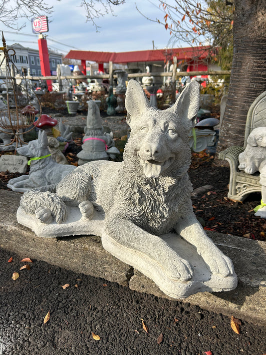 Large Laying German Shepard