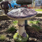 Medium Mushroom