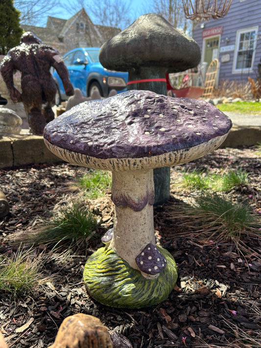 Medium Mushroom