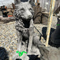 Sitting Wolf