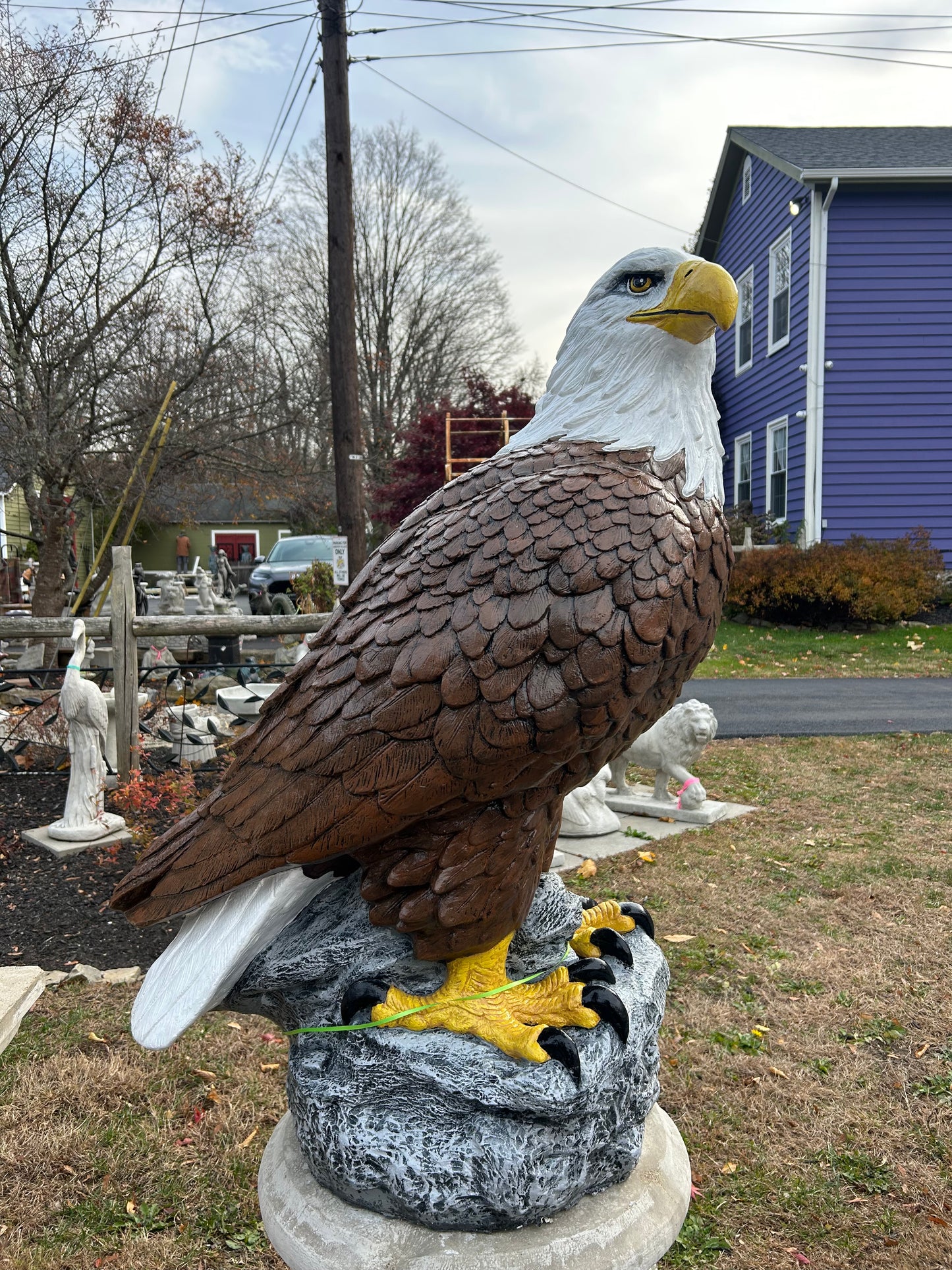 X-Large Eagle Wings Down