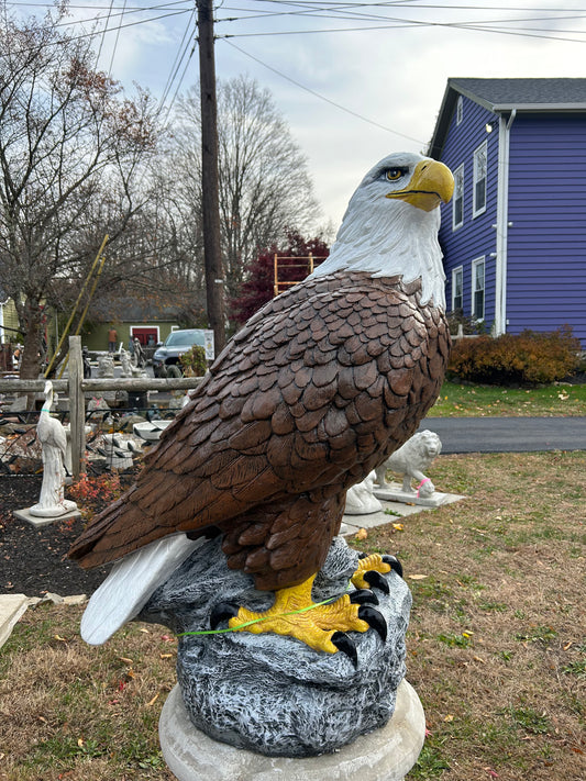 X-Large Eagle Wings Down