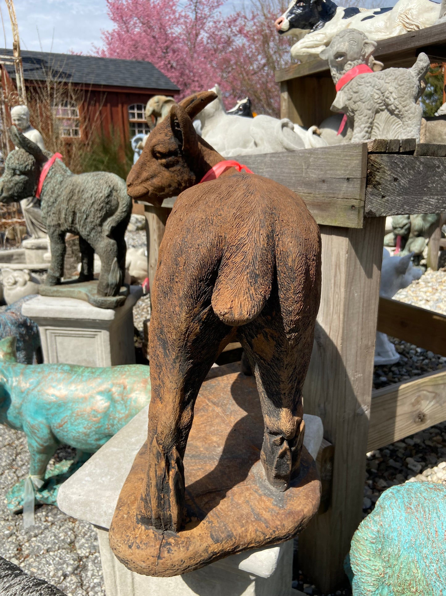 Standing Goat