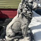 Estate Lion