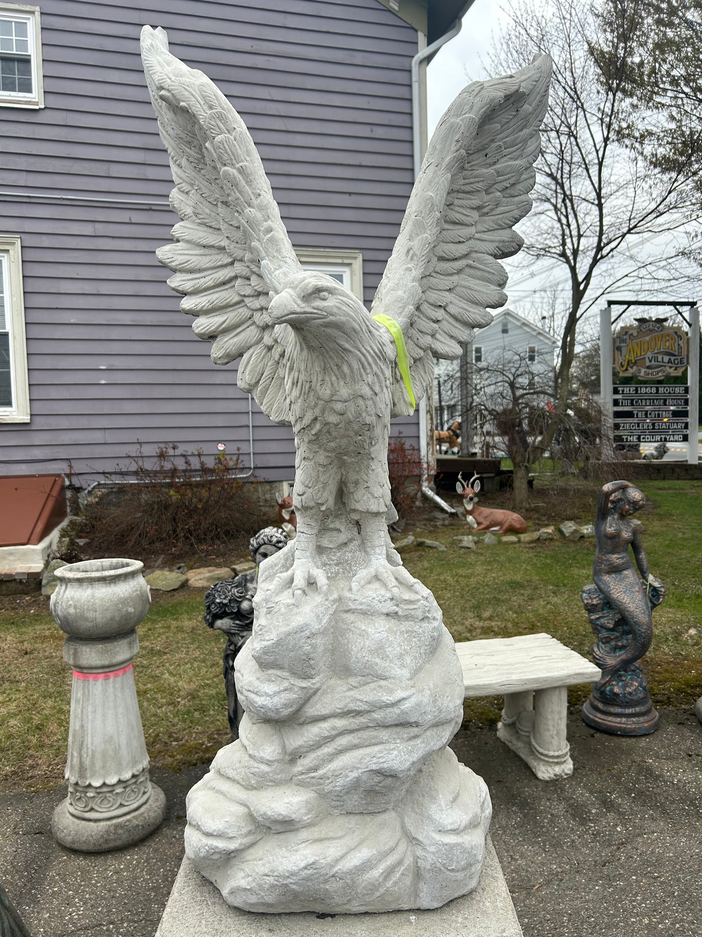 Large Eagle on Rock