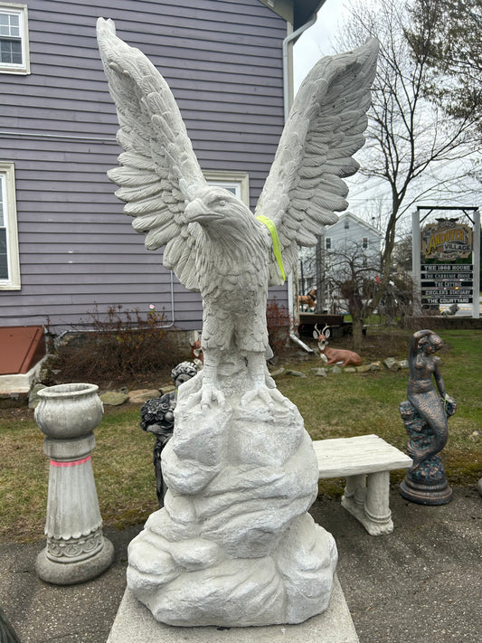 Large Eagle on Rock