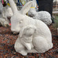 Bunny with Baby