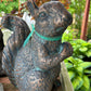 Giant Squirrel