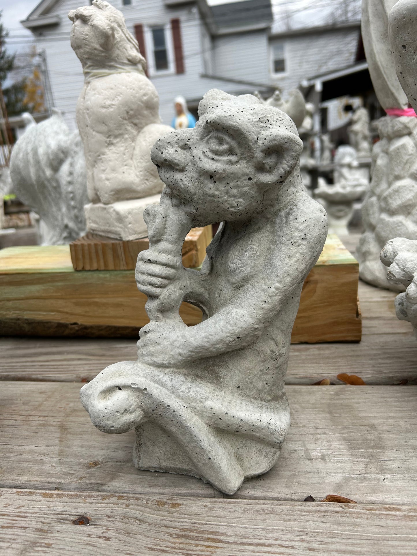 Gargoyle Chewing Bone
