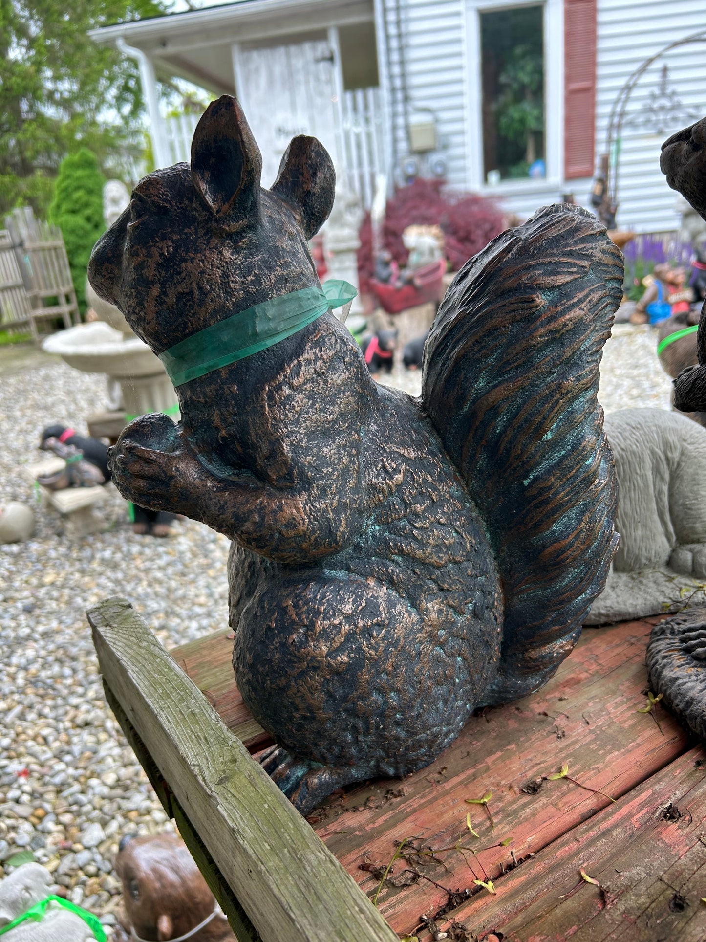 Giant Squirrel