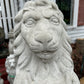 Lion on Shield