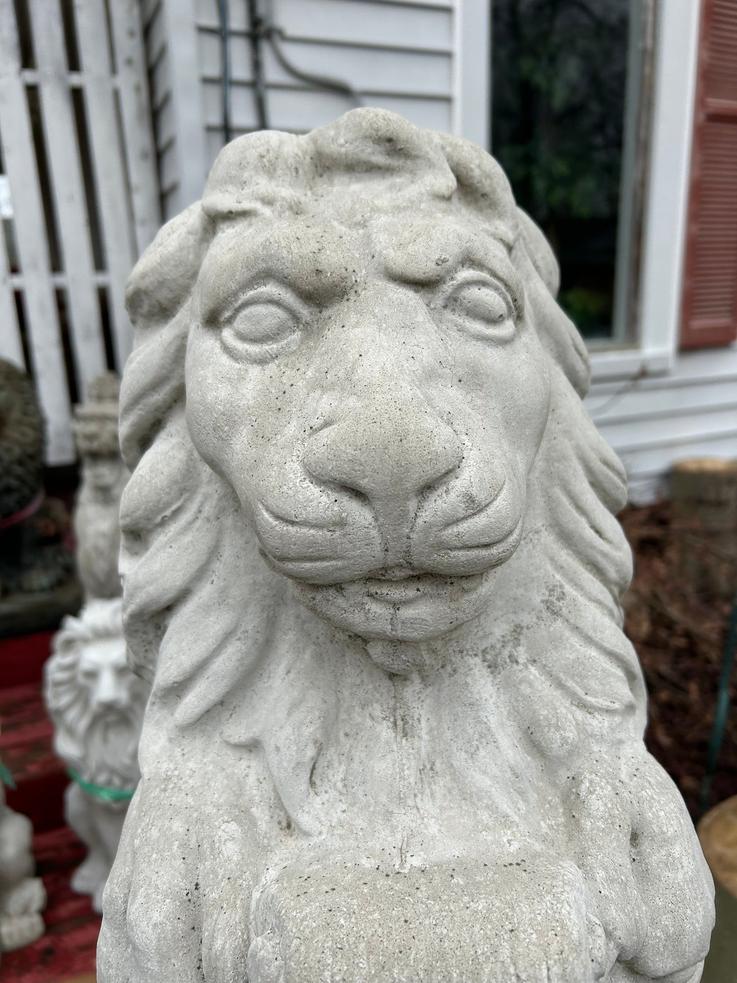 Lion on Shield