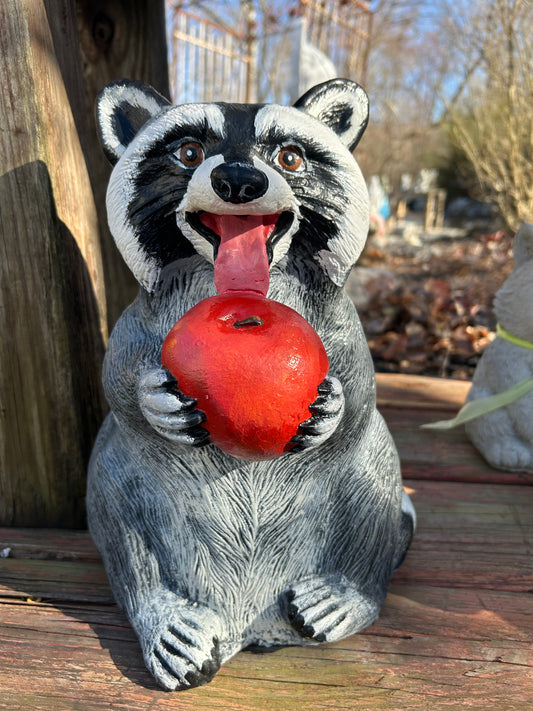 Raccoon with Apple