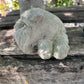 Sleeping Schnauzer Dog Statue