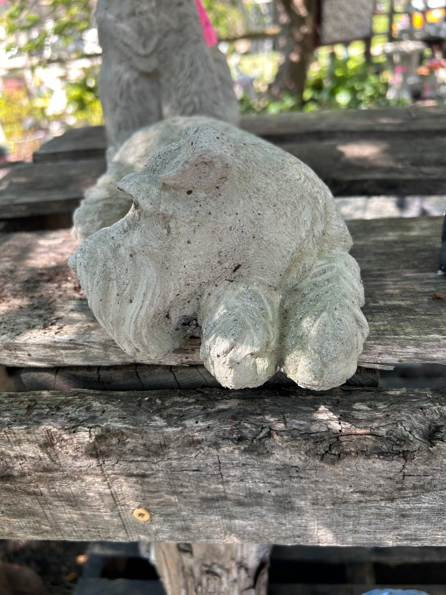 Sleeping Schnauzer Dog Statue