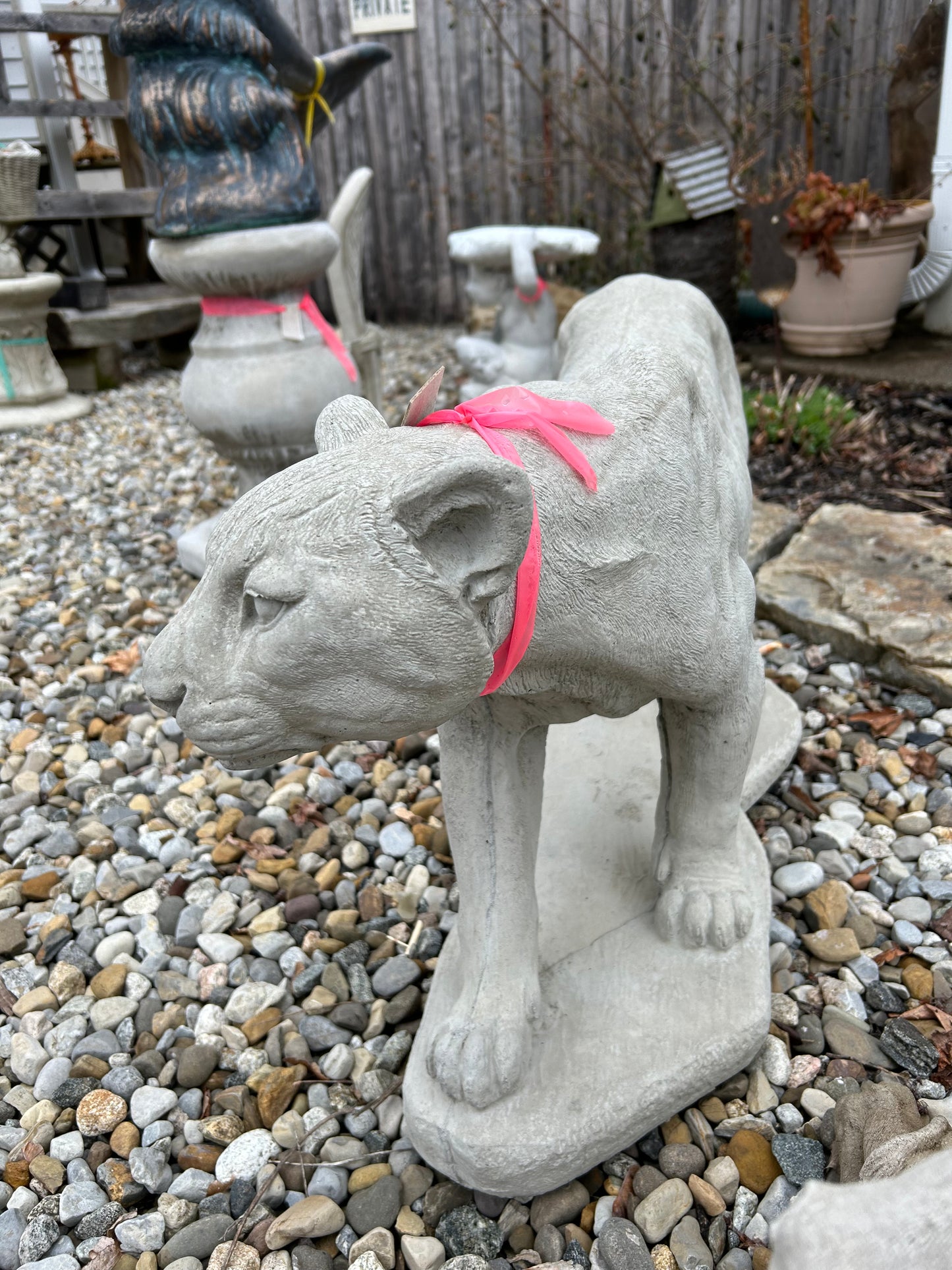 Panther