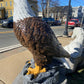 X-Large Eagle Wings Down