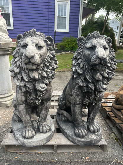 Estate Lion