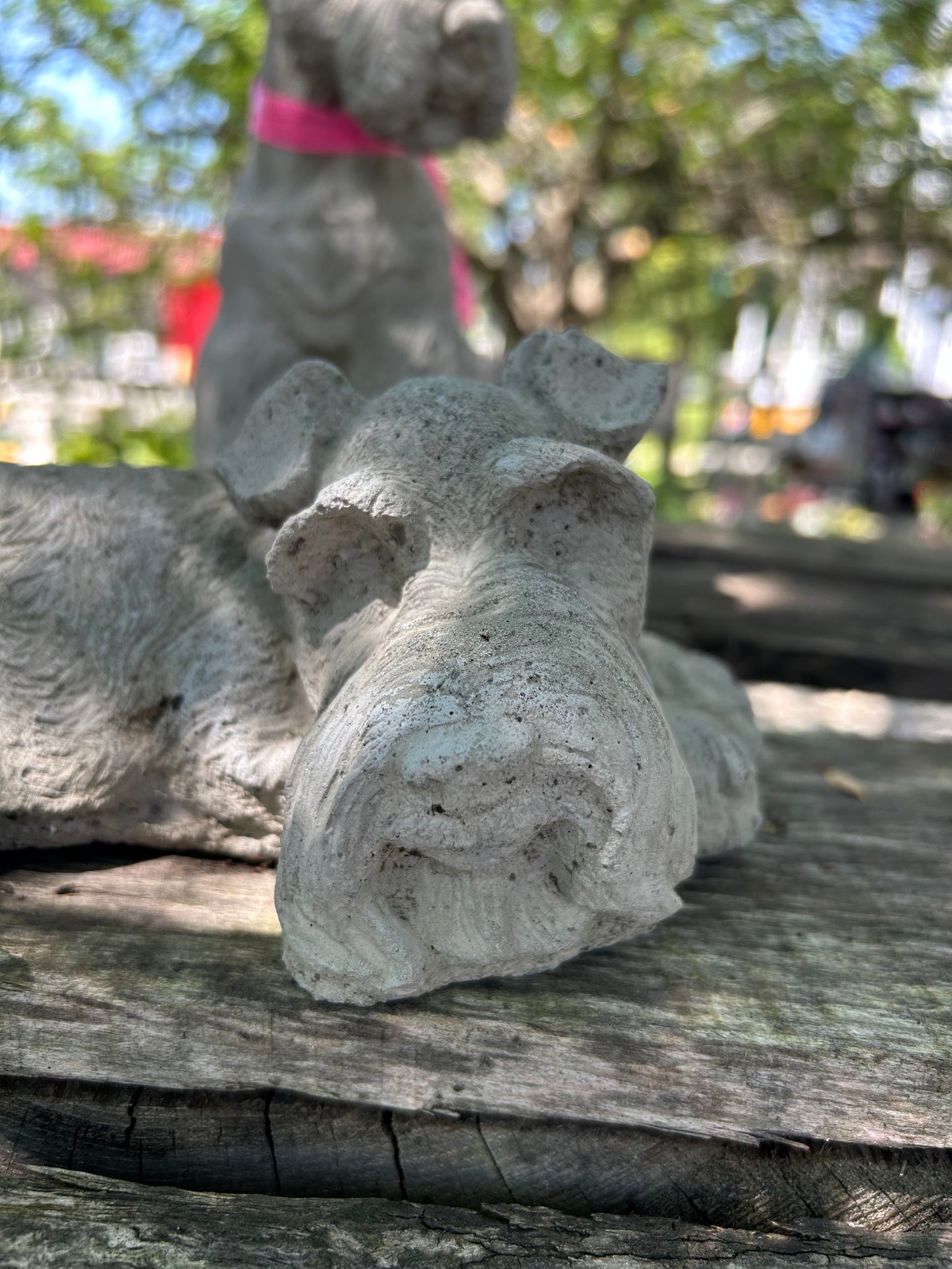 Sleeping Schnauzer Dog Statue